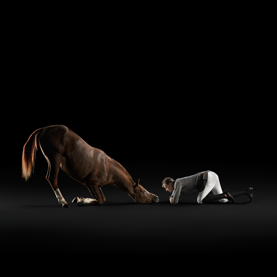 fotografia-commerciale-animali