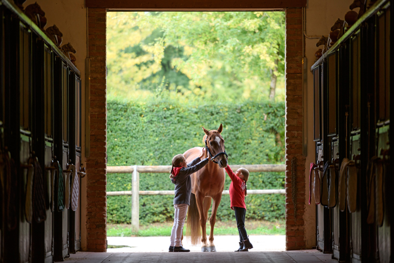 fotografia-commerciale-animali