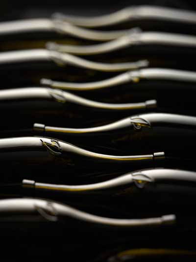 consorzio-prosecco-urnato2