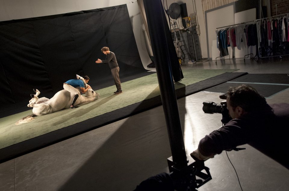 ABBRACCIARE GLI IMPREVISTI:  VI RACCONTIAMO DI QUELLA VOLTA CHE… ABBIAMO OSPITATO IN STUDIO 4 CAVALLI